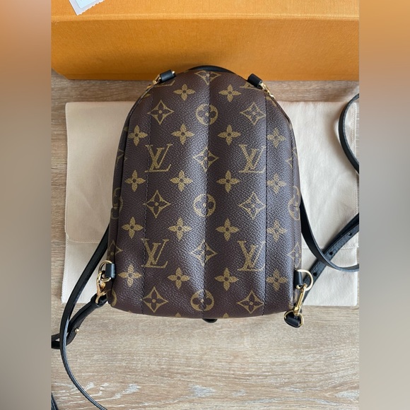 Louis Vuitton Palm Springs Mini Backpack in Monogram M41562 - Picture 4 of 13